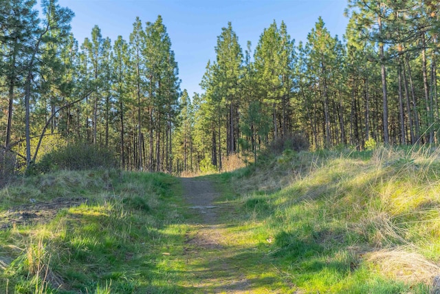 view of nature featuring a view of trees