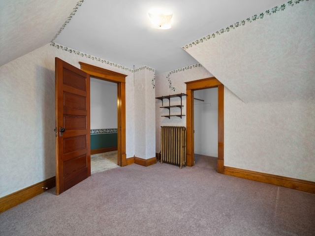 218 S Broadway St, Tekoa, WA 99033 - additional living space with radiator heating unit, carpet floors, and vaulted ceiling