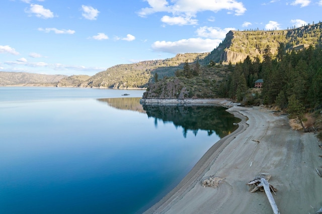 property view of water with a mountain view and a forest view