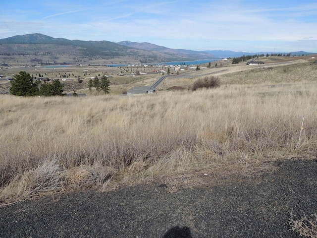 40995 Scenic Dr N, Davenport, WA 99122