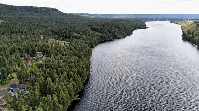 drone / aerial view with a water view and a wooded view