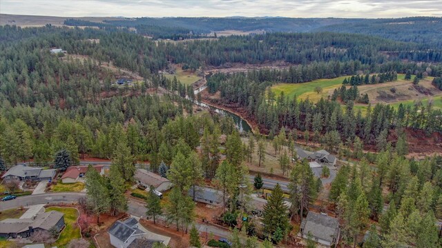 2514 E Casper Dr, Spokane, WA 99223 - bird's eye view featuring a view of trees and a mountain view