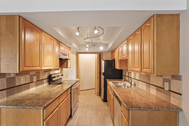 kitchen with a raised ceiling, under cabinet range hood, a sink, dark stone countertops, and appliances with stainless steel finishes