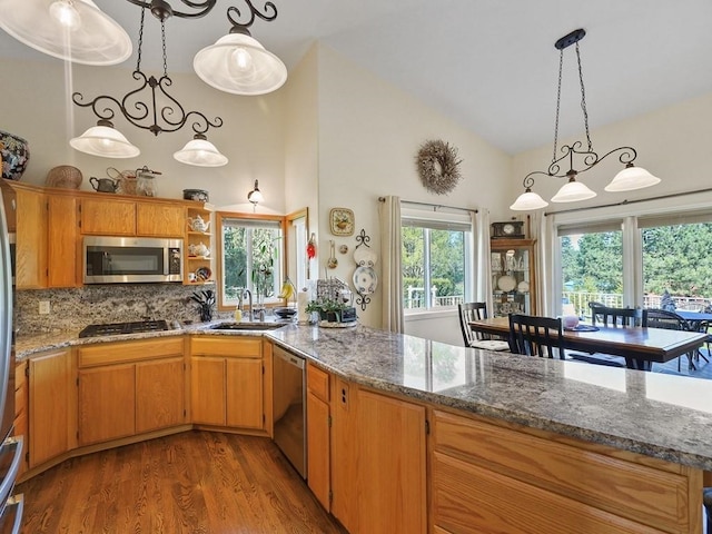 kitchen featuring appliances with stainless steel finishes, a sink, high vaulted ceiling, wood finished floors, and tasteful backsplash