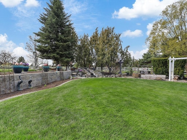 view of yard