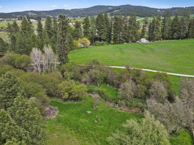 aerial view with a view of trees, a mountain view, and a rural view