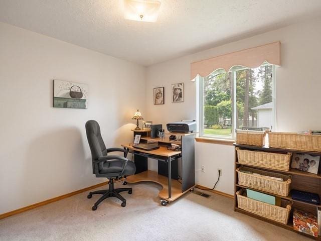 8409 N Pine Meadows Ln, Nine Mile Falls, WA 99026 - carpeted office space with baseboards and a textured ceiling