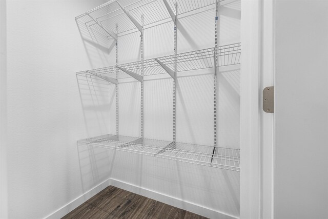 walk in closet featuring dark wood finished floors