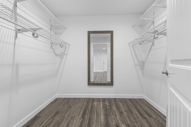 spacious closet with dark wood-type flooring