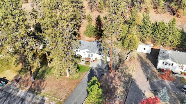 129 E Wynot Dr, Nine Mile Falls, WA 99026 - birds eye view of property
