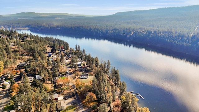 129 E Wynot Dr, Nine Mile Falls, WA 99026 - aerial view with a water and mountain view and a forest view
