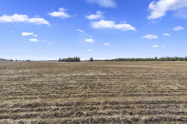 TBD S Christensen Road Lot 13And Lot 14, Medical Lake, WA 99022