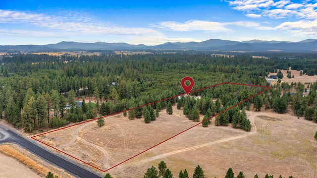 drone / aerial view featuring a mountain view and a wooded view