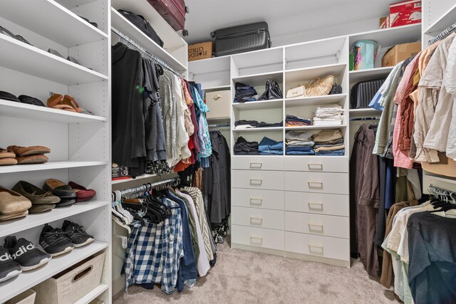 walk in closet featuring carpet flooring