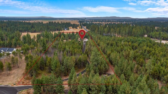 birds eye view of property featuring a view of trees and a mountain view