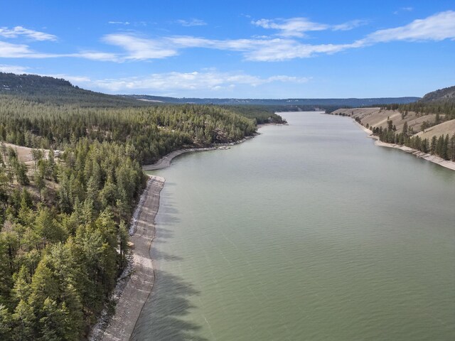 drone / aerial view with a water view and a forest view