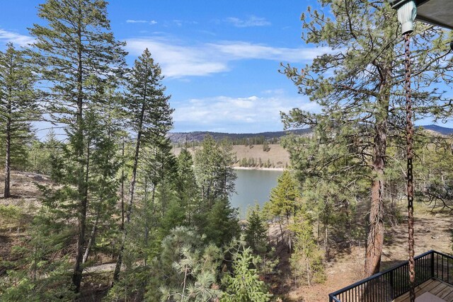 property view of water featuring a wooded view