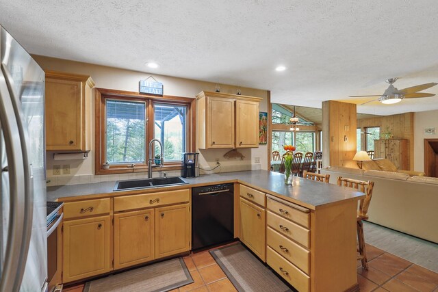 kitchen featuring ceiling fan, appliances with stainless steel finishes, a sink, a peninsula, and open floor plan