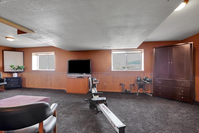 exercise area with carpet floors, wood walls, a textured ceiling, and wainscoting