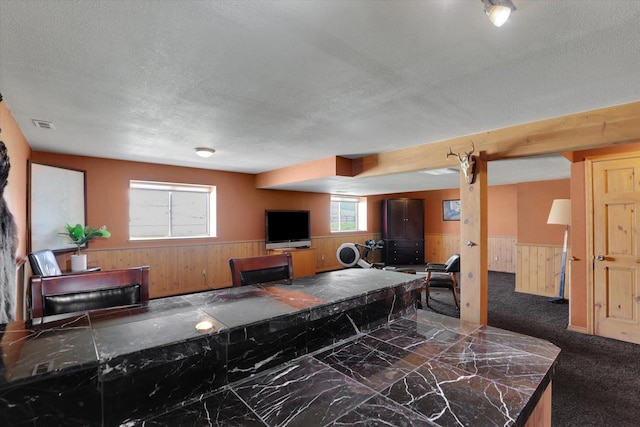 carpeted living area featuring a textured ceiling, a wainscoted wall, and wooden walls