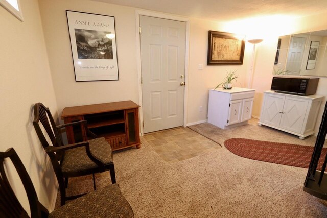interior space featuring light carpet