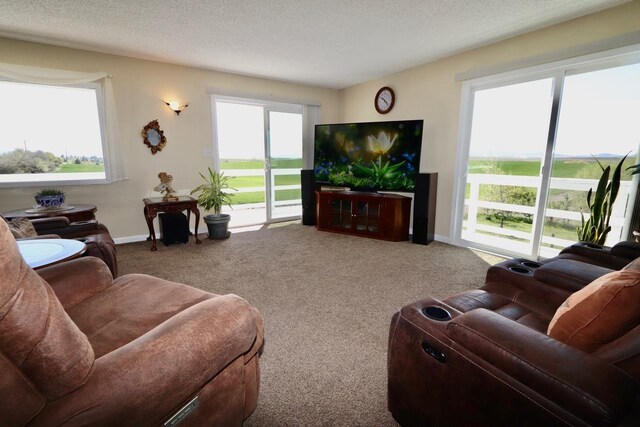 carpeted living area featuring baseboards and a textured ceiling