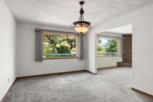unfurnished room with plenty of natural light, carpet flooring, baseboards, and a textured ceiling