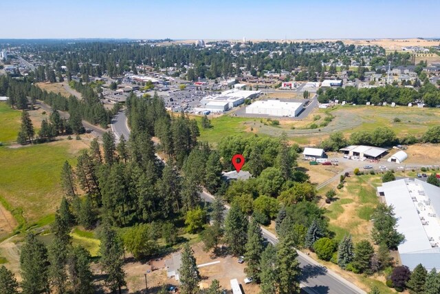 drone / aerial view