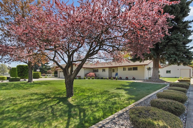 ranch-style home with a garage and a front lawn