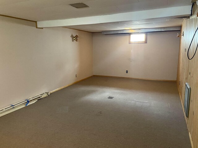 basement featuring carpet flooring