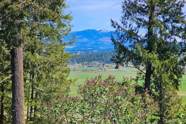 842-E Valley Westside Rd, Colville, WA 99114 - photo 39