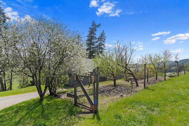 842-E Valley Westside Rd, Colville, WA 99114 - photo 47