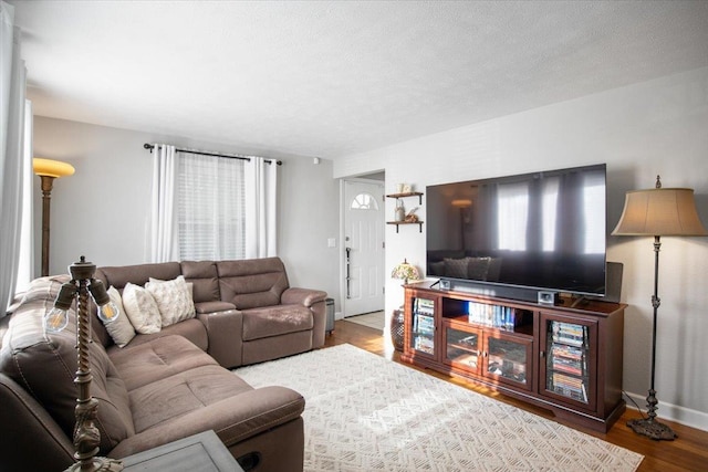 living room with wood finished floors
