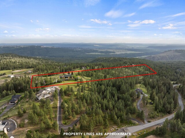 bird's eye view featuring a wooded view and a mountain view