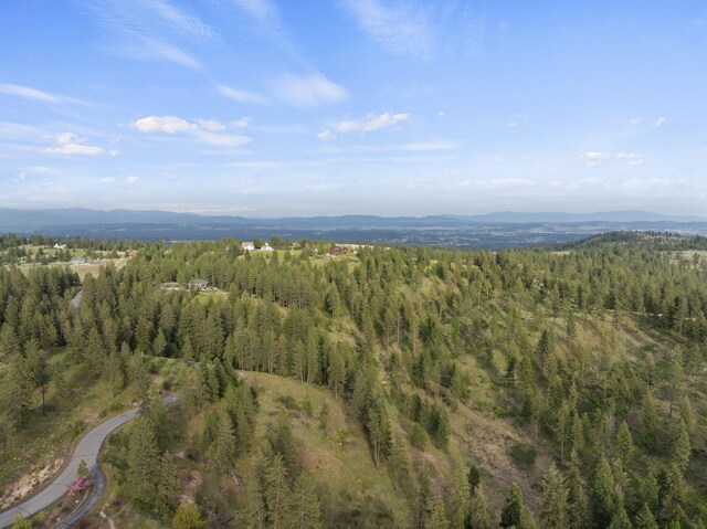 aerial view featuring a mountain view and a wooded view