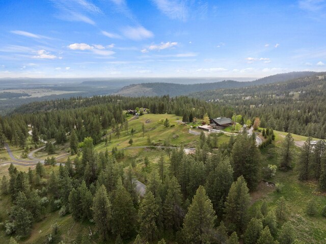 birds eye view of property featuring a view of trees and a mountain view