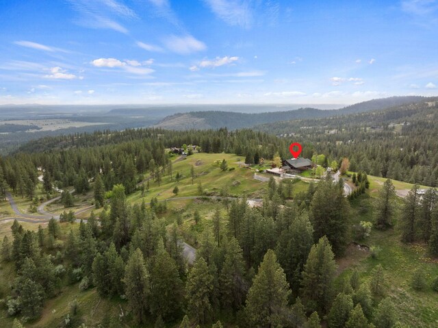 aerial view featuring a forest view and a mountain view
