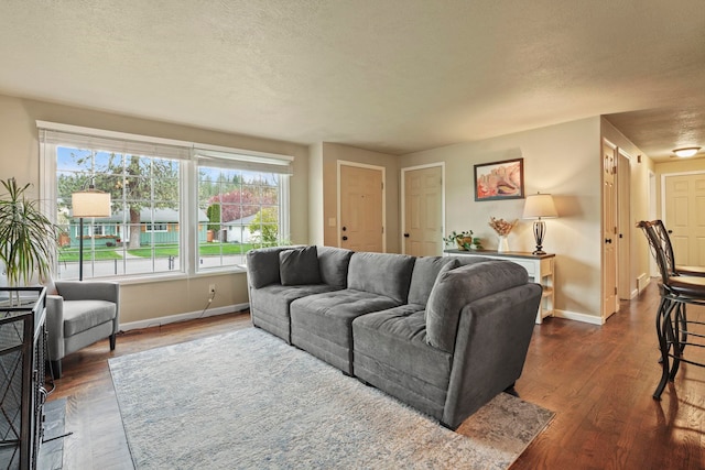 living area featuring baseboards, dark wood finished floors, and a wealth of natural light
