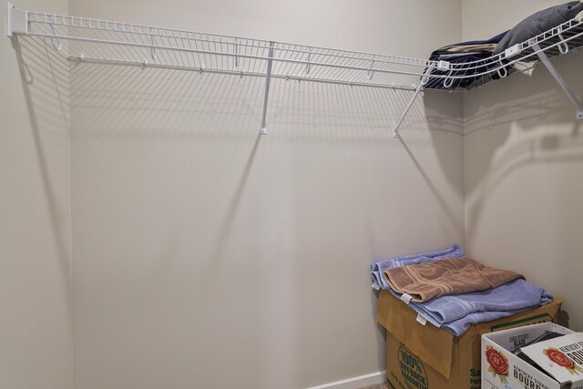 spacious closet with carpet flooring