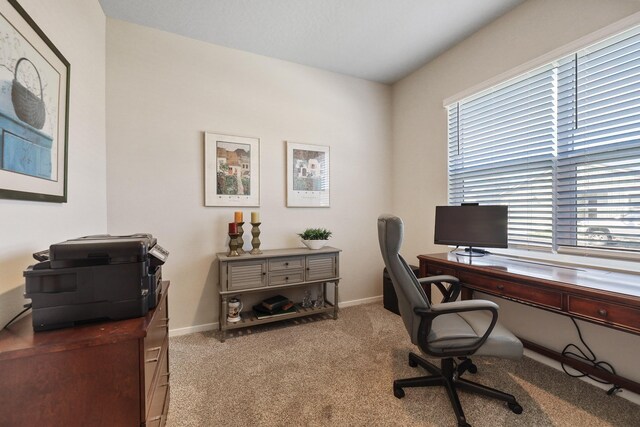 office space with baseboards and carpet flooring