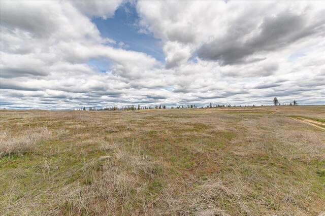 26405 Lone Pine E Road, Davenport, WA 99122