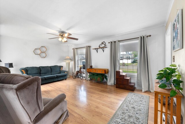 living area with plenty of natural light, crown molding, ceiling fan, and wood finished floors