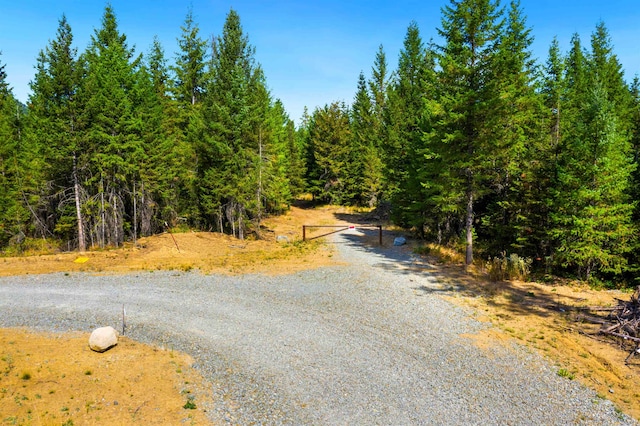 view of street with a forest view
