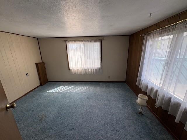 carpeted spare room with baseboards, a textured ceiling, and a healthy amount of sunlight