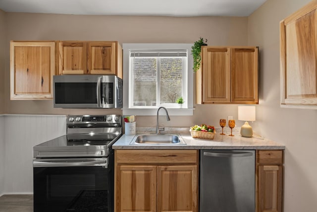 kitchen with appliances with stainless steel finishes and a sink