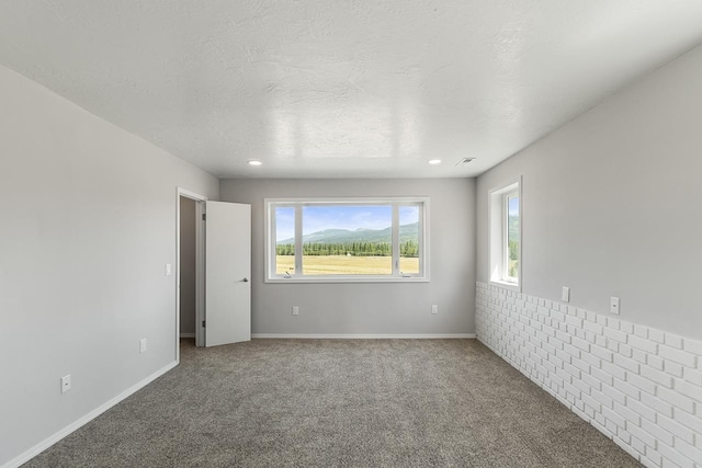 572 Smiley Ln, Newport, WA 99156 - unfurnished room with carpet floors, baseboards, and a textured ceiling