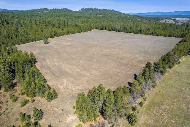 572 Smiley Ln, Newport, WA 99156 - aerial view with a mountain view and a forest view