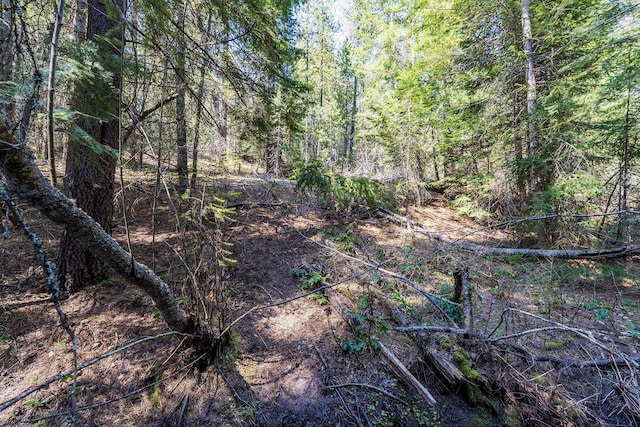 572 Smiley Ln, Newport, WA 99156 - view of local wilderness featuring a forest view