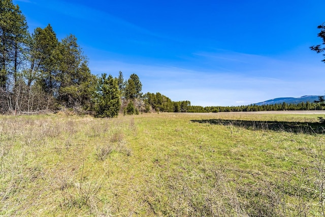 572 Smiley Ln, Newport, WA 99156 - view of yard featuring a rural view
