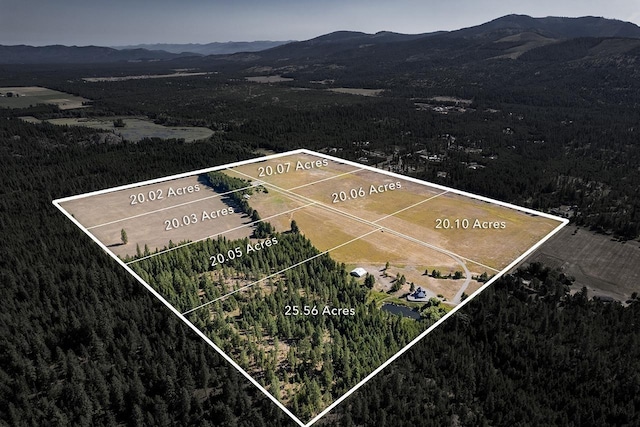 572 Smiley Ln, Newport, WA 99156 - birds eye view of property featuring a mountain view and a wooded view